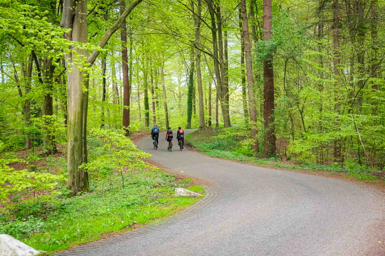 Drie fietsers naast elkaar op een weg in het bos